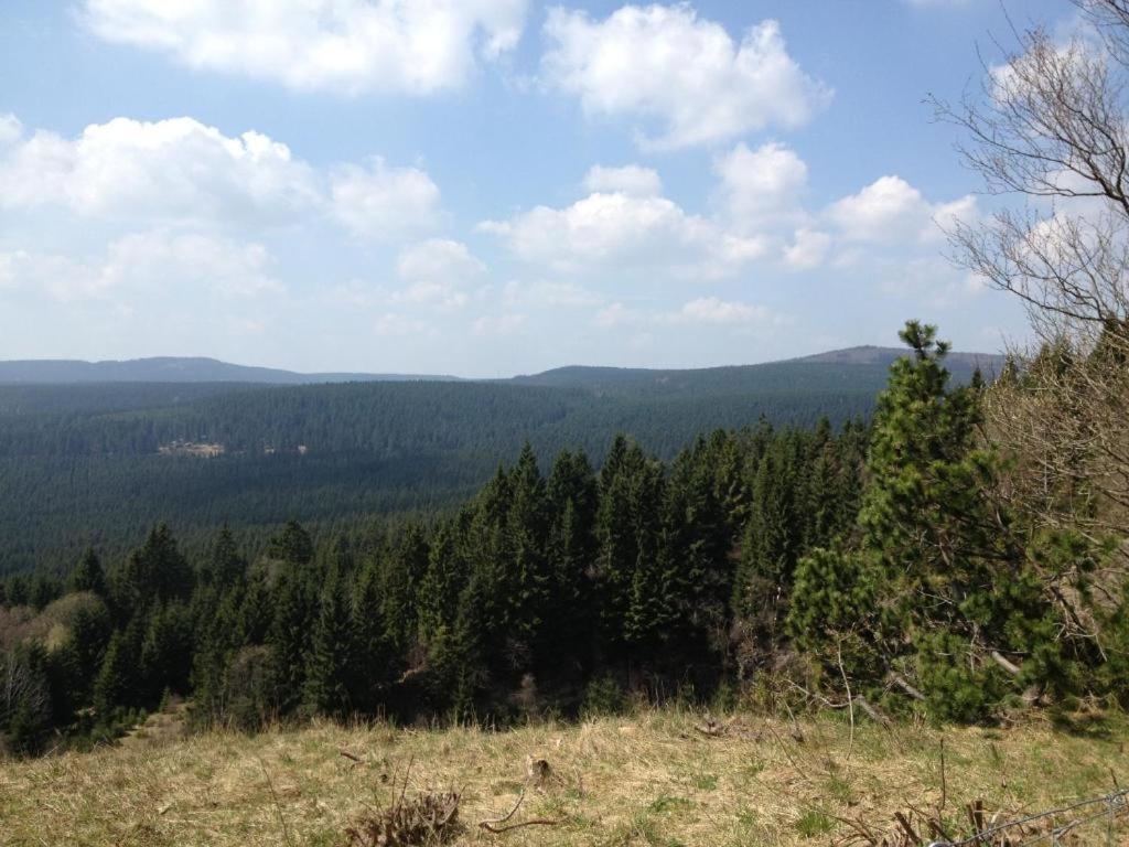 & Braunlage