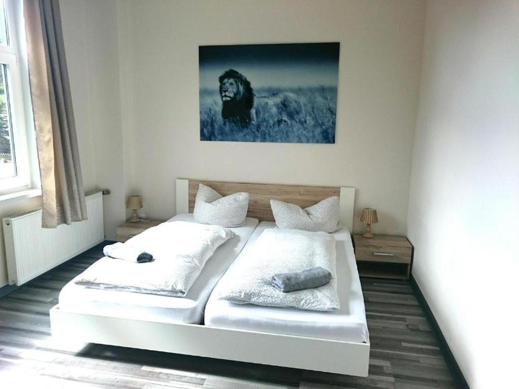 & Auberge de jeunesse *